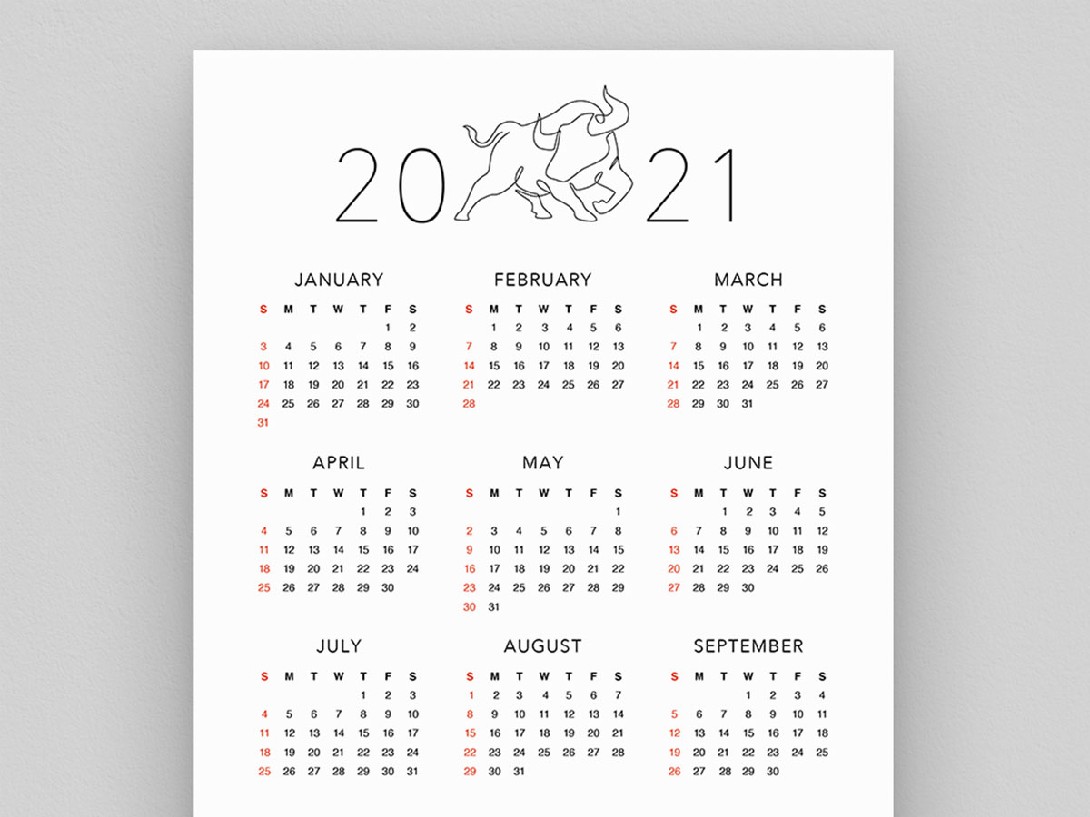 2021 Year At A Glance Calendar Ox - DIYmini8